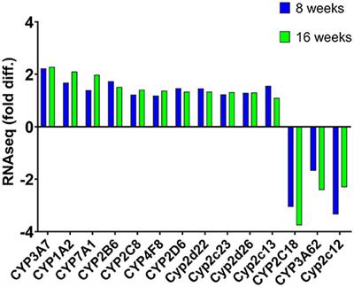 Effects of Short- and Long-Term Soy Protein Feeding on Hepatic Cytochrome P450 Expression in Obese Nonalcoholic Fatty Liver Disease Rat Model